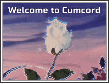 discord glitch
