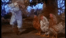 The Devil Went Down To Georgia Fiddle GIF - The Devil Went Down To Georgia Fiddle Chicken GIFs