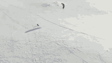 Ski Skiing GIF - Ski Skiing Paragliding GIFs