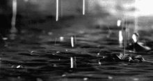 água GIF - Rain Raining Raindrops GIFs