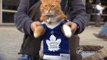 Toronto Maple Leafs Cat GIF - Toronto Maple Leafs Cat Dancing GIFs