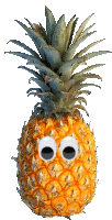 Ananas Pineapple Sticker - Ananas Pineapple Stickers