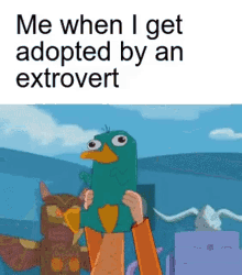 when adopted