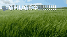 Chucky Windy GIF - Chucky Windy Grass GIFs