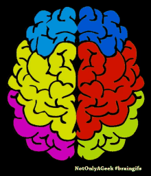 brain colors not only a geek