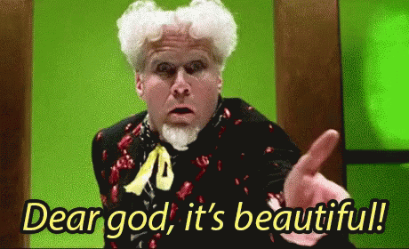 Dear God, It'S Beautiful! - Will Ferrell In Zoolander GIF - Zoolander Will Ferrell Beautiful GIFs