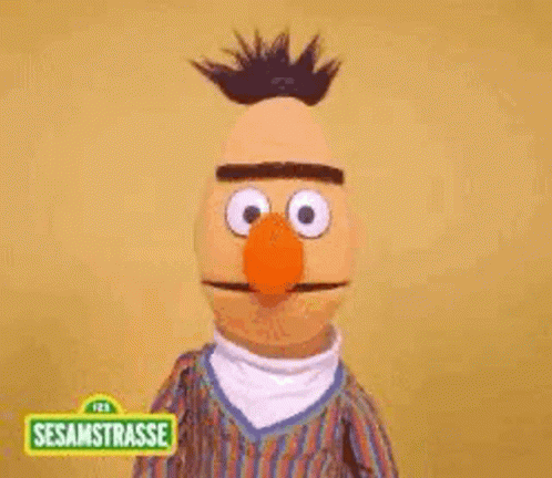 Bert Sesame Street GIF.