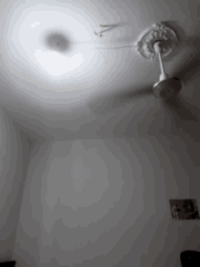 Fan Ceiling GIF - Fan Ceiling Bored GIFs