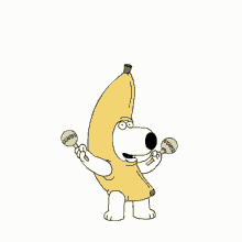 maracas banana dog maracas banana dog