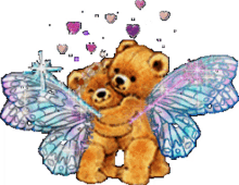 bears teddy