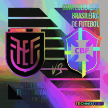 Bsc Libertadores GIF - Bsc Libertadores Copa GIFs