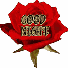 good night rose heart rose hearts red rose