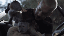 Kissing A Monkey Dean Schneider GIF - Kissing A Monkey Dean Schneider Kiss GIFs