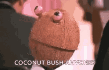 Coconut Talking GIF - Coconut Talking Bush GIFs