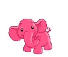 pink elephant butt