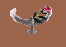 Dove Flying GIF - Dove Flying Rose GIFs