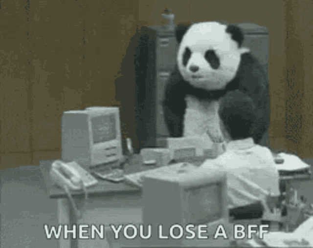 Angry Panda Rage GIF Angry Panda Rage Mad Discover & Share GIFs