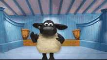 Funny Sheep GIF - Funny Sheep GIFs
