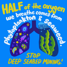 defendthedeep the oxygen project waterislife stophabs mining