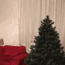 Lucalendario Christmas GIF - Lucalendario Christmas Tree GIFs