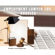 employment attorney los angeles los angeles employment lawyer employment law firms los angeles los angeles personal injury attorney real estate litigation attorney los angeles employment attorney los angeles los angeles employment lawyer employment law firms los angeles los angeles personal injury attorney real estate litigation attorney los angeles