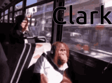 Clark Orangutan GIF - Clark Orangutan Bus GIFs