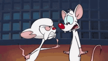 animaniacs pinky and the brain angry pissed off animaniacs pinky and the brain angry pissed off