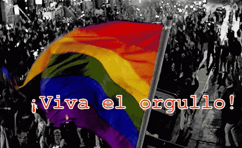 Manifestacion Por El Orgullo GIF - Orgullo Gay Bandera Manifestacion - Discover &amp; Share GIFs