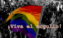 Manifestacion Por El Orgullo GIF - Orgullo Gay Bandera Manifestacion GIFs