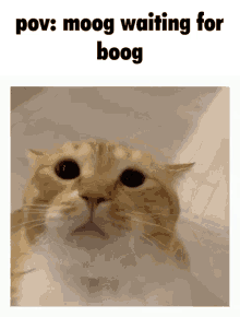Boog Moog GIF - Boog Moog Point Of View GIFs