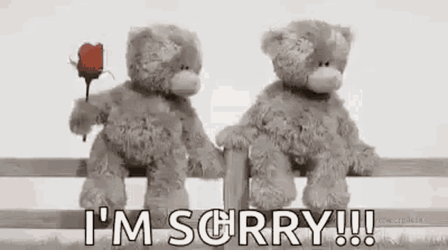 Im Sorry Flowers For You GIF - Im Sorry Flowers For You Bear GIFs