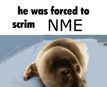 Scrims Nme GIF - Scrims Nme Forced To Scrim GIFs