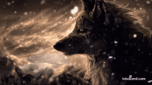Cool Wolf GIF - Cool Wolf Windy GIFs