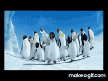 Penguins Dance GIF - Penguins Dance Dance Moves GIFs