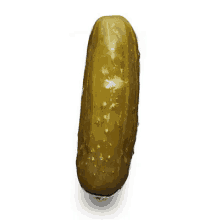 Pickle Dill With It GIF - Pickle Dill With It GIFs