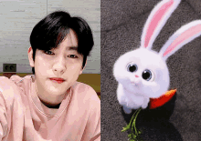 jinyoung rabbit