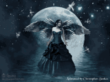beautiful fairy wings moon beautiful fairy wings moon