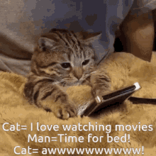 Kitty Likes Netflix This Is Why Cats Hate Betime GIF - Kitty Likes Netflix This Is Why Cats Hate Betime Movies Are Better Than Bedtime GIFs