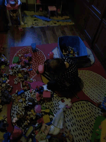 throw toy play