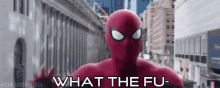 Spiderman Far From Home GIF - Spiderman Far From Home What The GIFs