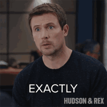 Exactly Charlie Hudson GIF - Exactly Charlie Hudson Hudson And Rex GIFs