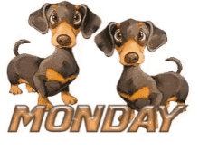 Two Dogs Monday GIF - Two Dogs Monday GIFs