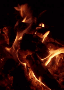 fire campfire