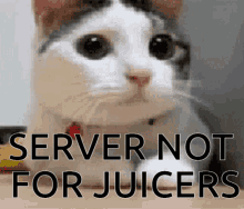 Juicers Forsen GIF - Juicers Forsen Not GIFs