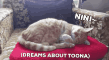 Catto Dreaming Toona Nini GIF - Catto Dreaming Toona Nini GIFs