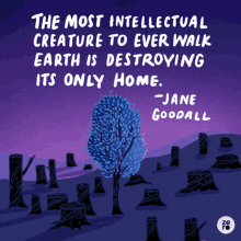 The Most Intellectual Creature To Ever Walk Earth Is Destroying Its Only Home GIF - The Most Intellectual Creature To Ever Walk Earth Is Destroying Its Only Home Jane Goodall GIFs