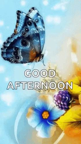 Butterflies Good GIF - Butterflies Good Afternoon - Discover & Share GIFs