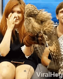 Owls Animals In Public GIF - Owls Animals In Public Take The Train GIFs
