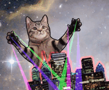 Cat Laser GIF - Cat Laser Party GIFs