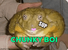 Sup Toad Supducks GIF - Sup Toad Sup Toad GIFs